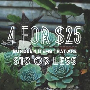 🌵 4 for $25 🌵